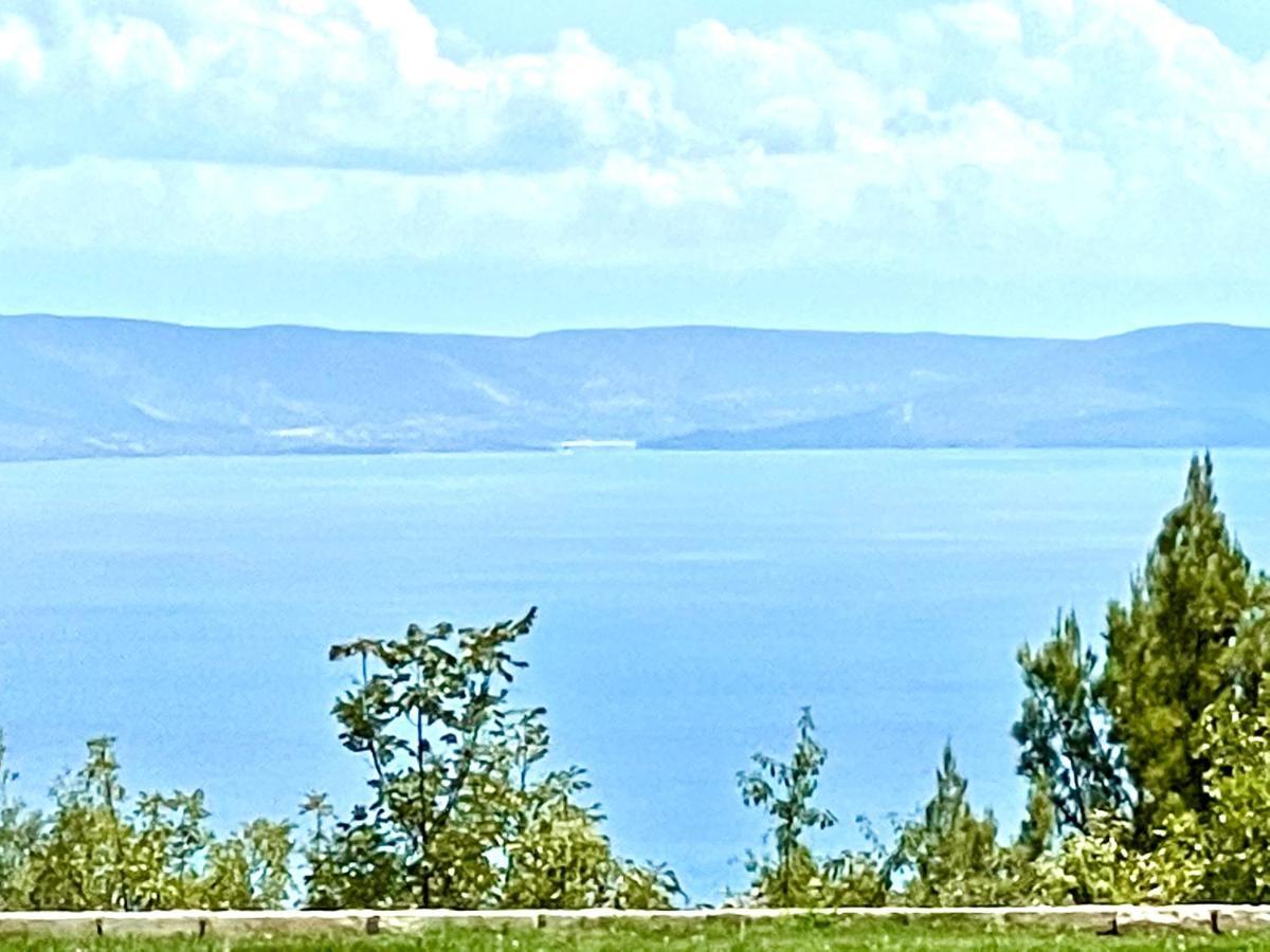 Luxury Panorama Vila With Amazing Seaview In Gondolici 7 Km From Rabac Labin (Istria) Exterior foto